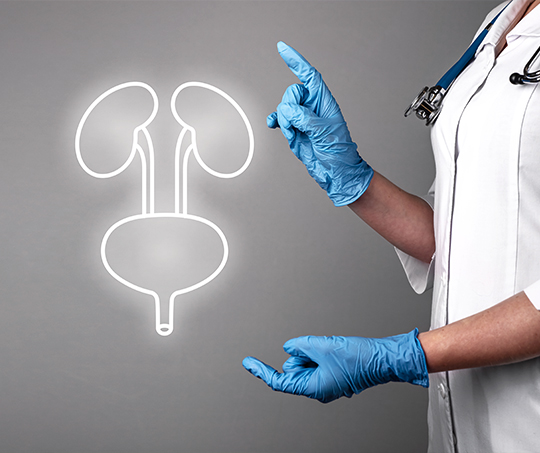 Arab school of urology